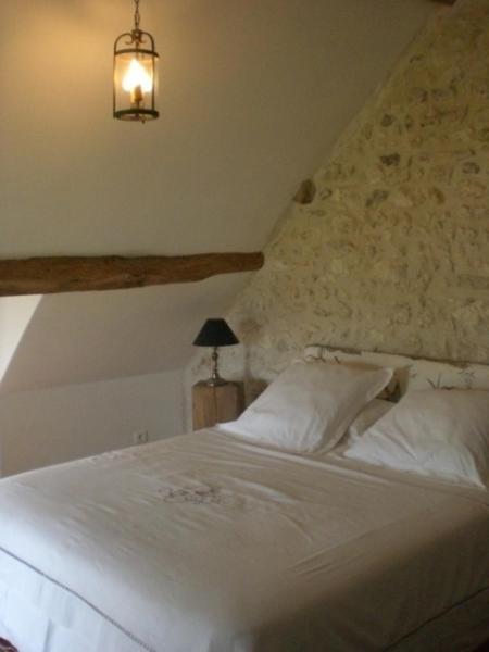 La Touche Bed & Breakfast Menetou-sur-Nahon Room photo