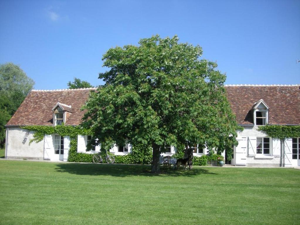 La Touche Bed & Breakfast Menetou-sur-Nahon Exterior photo